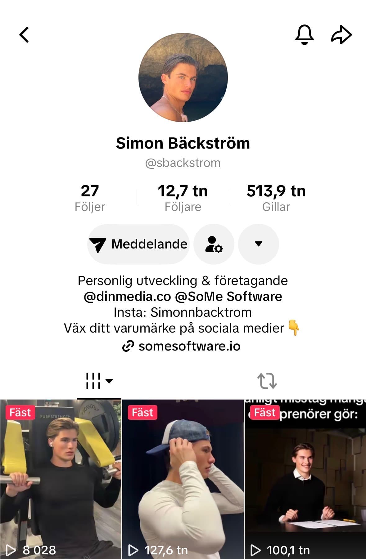 TikTok statistik